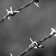 Cape Town Submission border management agency bill