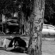 Cape town Need Shelter? You'll Need a Document