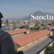 Cape Town Sanctuary Lost Movie