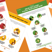 information on asylum in south africa
